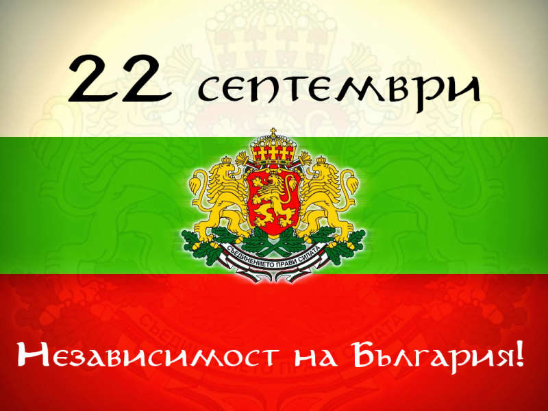 146878887713519ahrm